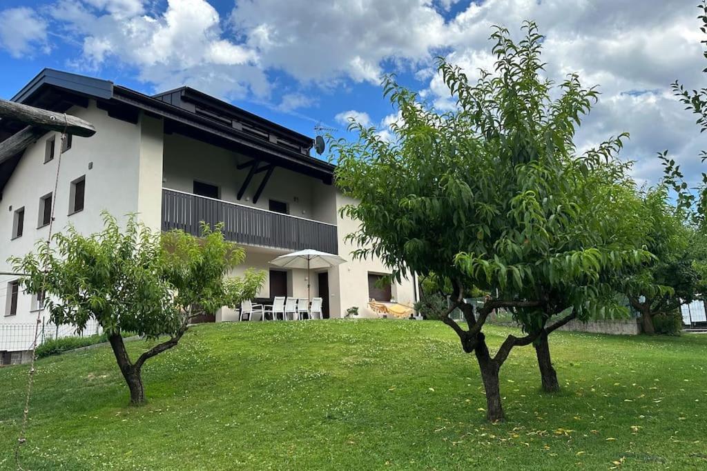 Haus Hafner Sonniges Apartment Терлано Экстерьер фото